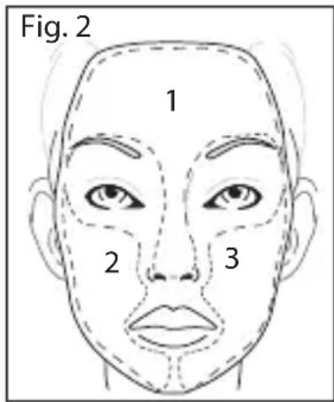 Fig. 2 1 2 3