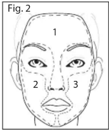Fig. 2 1 2 3