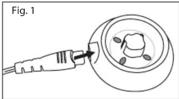 Fig. 1