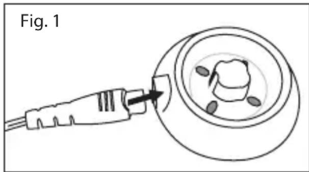 Fig. 1