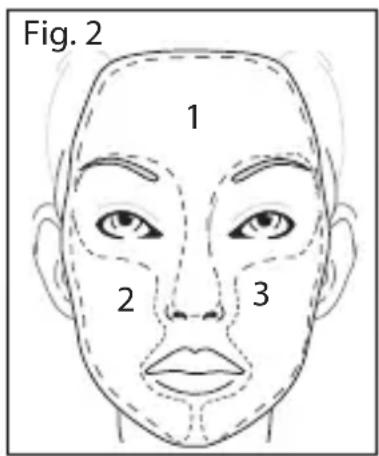 Fig. 2 1 2 3