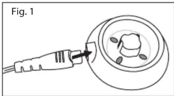 Fig. 1