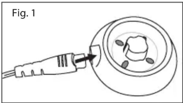 Fig. 1
