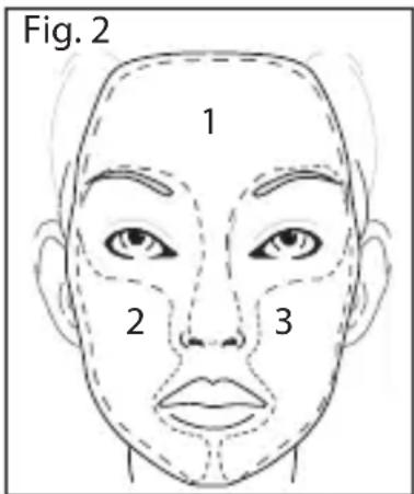 Fig. 2 1 2 3