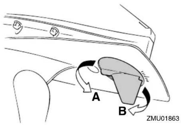 A B ZMU01863