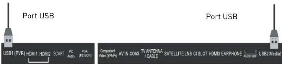 Port USB USB1 (PVR) HDMI1 HDMI2 SCART PC VGA Audio (PC MON) Port USB Component Video (YPBPr) AV IN COAX TV ANTENNA /CABLE SATELLITE LNB CI SLOT HDMI3 EARPHONE I R AUDIO OUT USB2(Media)