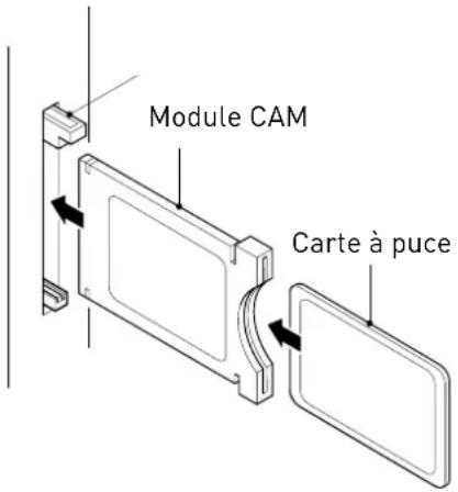 Module CAM Carte à puce