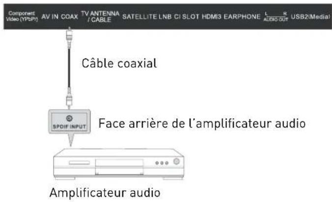 Component Video (YPSP) AV IN COAX TV ANTENNA /CABLE SATELLITE LNB CI SLOT HDMI3 EARPHONE L AUDIO OUT USB2!Media! Câble coaxial Face arrière de l'amplificateur audio SPDIF INPUT Amplificateur audio