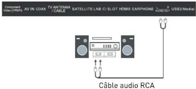 Component Video (YPBp) AV IN COAX TV ANTENNA / CABLE SATELLITE LNB CI SLOT HDMI3 EARPHONE AUDIO OUT USB2(Media) Câble audio RCA