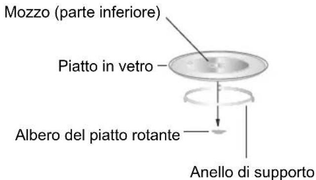 Mozzo (parte inferiore) Piatto in vetro Albero del piatto rotante Anello di supporto