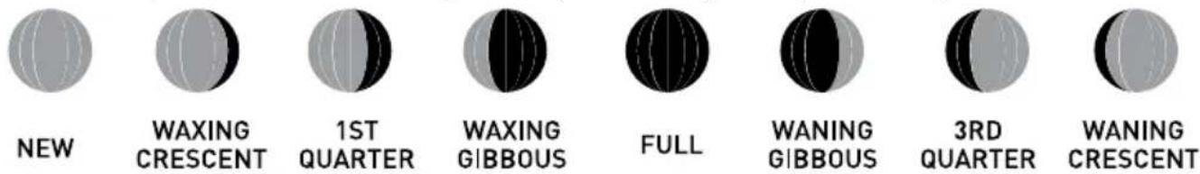 NEW WAXING CRESCENT 1ST QUARTER WAXING GIBBOUS FULL WANING GIBBOUS 3RD QUARTER WANING CRESCENT