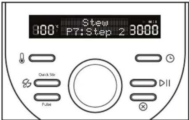 Stew 800°C PT:Step 2 3000 Quick Stir Pulse M:S DII