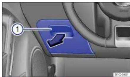 VOLKSWAGEN Beetle (2015) - Storage compartment in the doors - 2