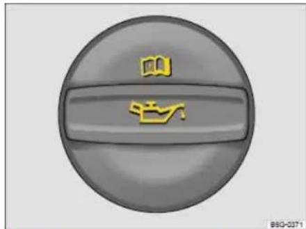 VOLKSWAGEN Beetle (2015) - Checking the engine oil level and adding oil - 2