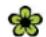 VOLKSWAGEN Beetle (2015) - New tires and brake pads - 1