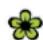 VOLKSWAGEN Beetle (2015) - Engine coolant is poisonous! - 1