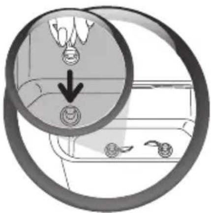 Diagram showing a hand holding a small object with a downward arrow, overlaid on a circular diagram of a container with fruit pieces (no text or symbols)