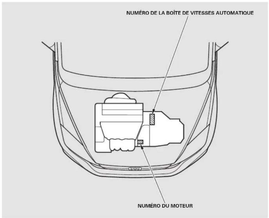 NUMÉRO DE LA BOÎTE DE VITESSES AUTOMATIQUE NUMÉRO DU MOTEUR
