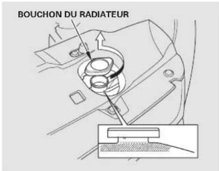BOUCHON DU RADIATEUR