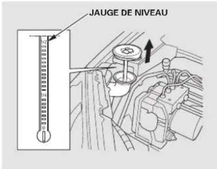 JAUGE DE NIVEAU