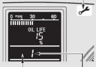 OIL LIFE 15 % A