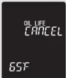 OIL LIFE CANCEL 65F