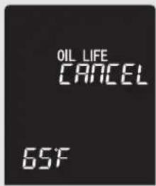 OIL LIFE CANCEL 6SF
