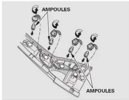AMPOULES AMPOULES