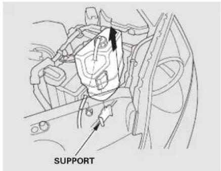 SUPPORT