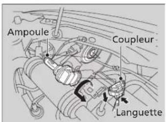 Ampoule Coupleur Languette
