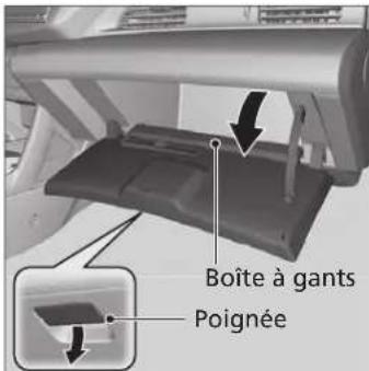 Boîte à gants Poignée