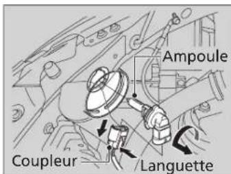 Ampoule Coupleur Languette