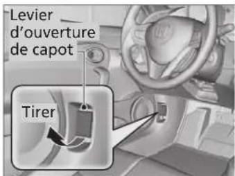 Levier _ d'ouverture de capot Tirer
