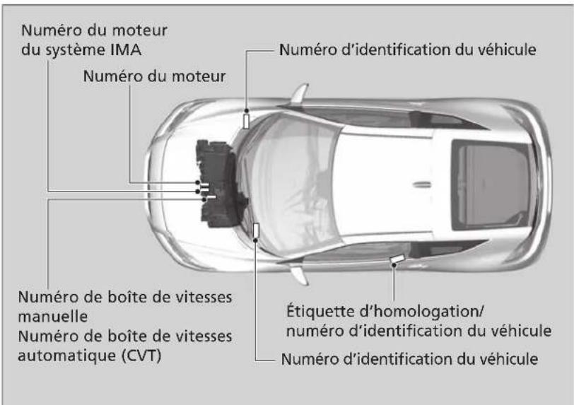 Numéro du moteur du système IMA Numéro du moteur Numéro de boîte de vitesses manuelle Numéro de boîte de vitesses automatique (CVT) Numéro d'identification du véhicule Étiquette d'homologation/ numéro d'identification du véhicule Numéro d'identification du véhicule