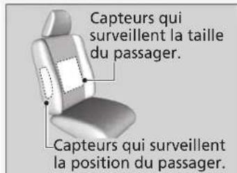 Capteurs qui surveillent la taille du passager. Capteurs qui surveillent la position du passager.