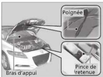 Poignée Bras d'appui Pince de retenue