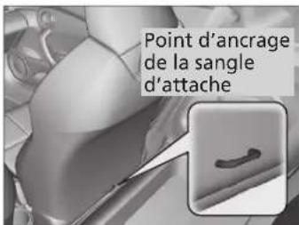 Point d'ancrage de la sangle d'attache