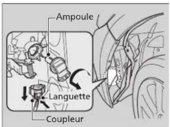 Ampoule Languette Coupleur
