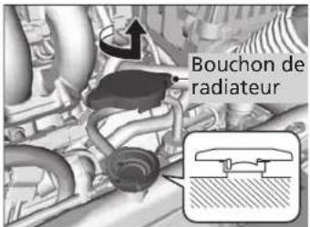 Bouchon de radiateur