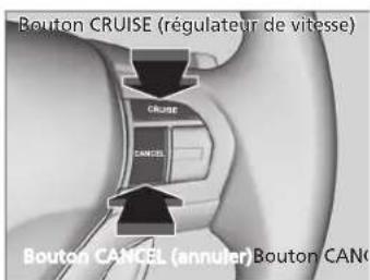 Bouton CRUISE (régulateur de vitesse) CRUISE CANCEL Bouton CANCEL (annuler) Bouton CANO