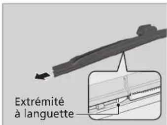 Extrémité à languette