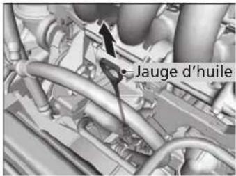 Jauge d'huile