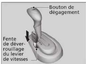 Bouton de dégagement Fente de déver- rouillage du levier de vitesses