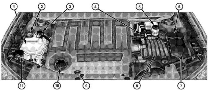 Technical diagram of a car engine bay with numbered components for identification