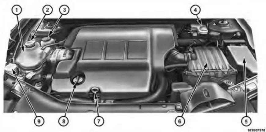 Labeled diagram of a car engine bay with numbered parts for identification