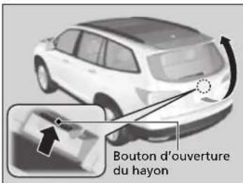 Bouton d'ouverture du hayon