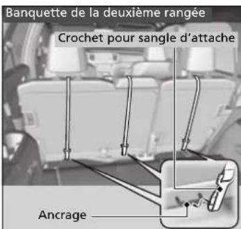 Banquette de la deuxième rangée Crochet pour sangle d'attache Ancrage