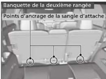 Banquette de la deuxième rangée Points d'ancrage de la sangle d'attache