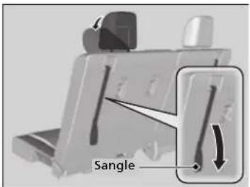 Sangle