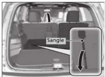 Sangle